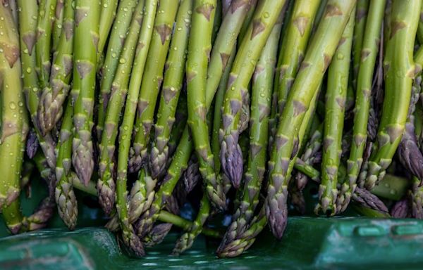 Fast-growing asparagus once flourished on California farms. Why is it disappearing?