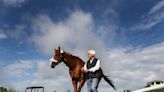 Churchill Downs lifts Bob Baffert suspension after three years