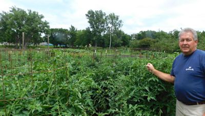 A good year for veggies