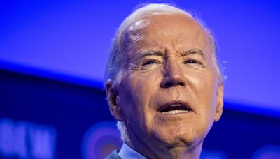 Biden blamed for 'catastrophic' G7 decision to abandon ally in Red Sea war