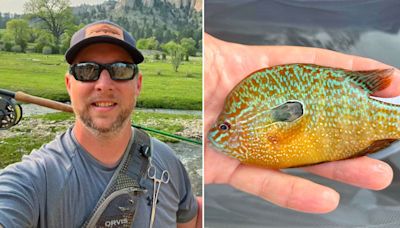 Nebraska fisherman reels in new fish species in state: 'Bright orange with turquoise'