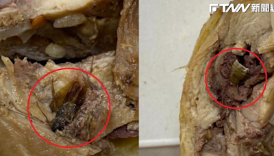 汐止燒臘店「雞肉藏2蟑螂、屍腳」！嚇人畫面曝光 店家致歉：會賠償