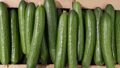 The Simple Rule For Choosing The Best Cucumbers At The Grocery Store