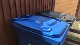 Bin collection changes planned for hundreds of homes