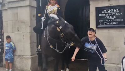 Video: un caballo de la Guardia Real británica mordió por sorpresa a una turista