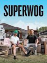 Superwog