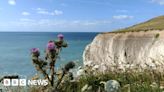 Hampshire & Isle of Wight's Big Picture: 8 July - 14 July 2024
