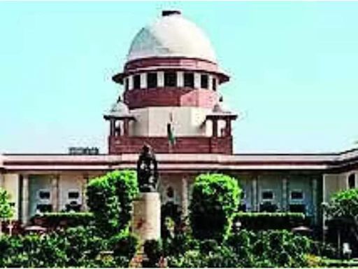 SC seeks ED reply on former Bengal minister's bail plea in teacher recruitment scam | India News - Times of India