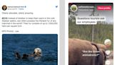 The Most Clever National Park Social Media Accounts