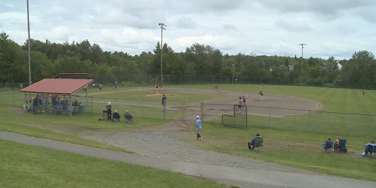 Pony League Baseball leads to success in High School