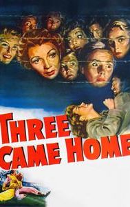 Three Came Home