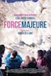 Force Majeure