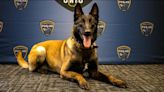 Lancaster police welcome K-9 Barry to team