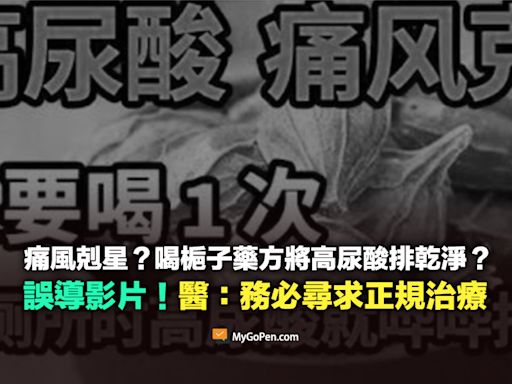 【錯誤】痛風剋星？喝梔子藥方就能將高尿酸排乾淨？醫：務必尋求正規治療