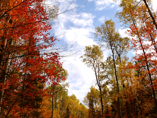 Sept. 29 Weather: Breezy with a mix of sun and clouds coming up in southern Ontario |