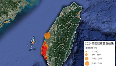 黑面琵鷺全球普查 台灣仍是最受喜愛的度冬勝地