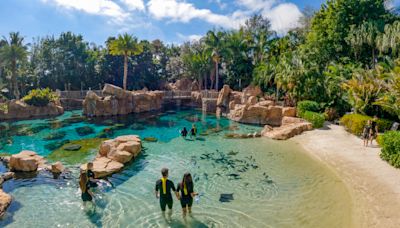 Teen dies from accidental drowning at Discovery Cove in Orlando, officials say