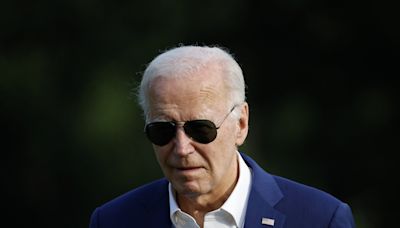 It's the Polls, Stupid. Democrats Must Dump Joe Biden or Lose | Opinion