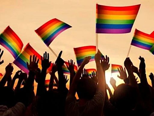 Queer rights beyond marriage equality: What the new Parliament needs to do