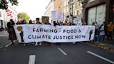 Farm workers and environmental activists march through central London