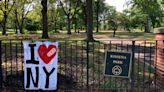 $15K worth of planted trees vandalized at Kissena Park for makeshift dirt bike tracks