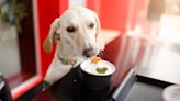 Tennessee Bill Bars Support Animals From Entering Restaurant Dining Rooms