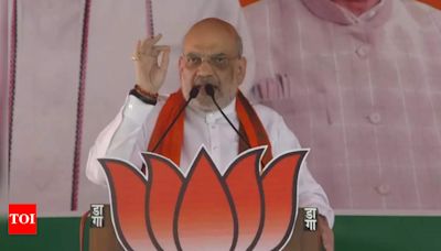 Amit Shah likely to address BJP meeting in Pune next month | India News - Times of India