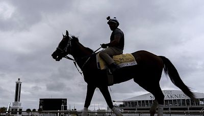 Mystik Dan looks like the horse to beat in the Preakness on what could be a muddy track | Texarkana Gazette
