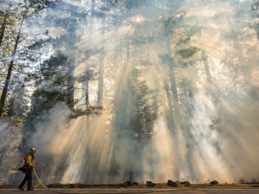 Study links wildfire smoke to increased dementia risk | World News - The Indian Express