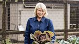 Why Martha Stewart Changed Her Veggie Gardening Method and You Should Too