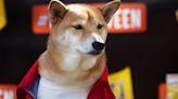 Shiba Inu price outlook for 2024 By Investing.com