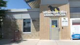 Yellowstone Valley Animal Shelter reaches critical capacity