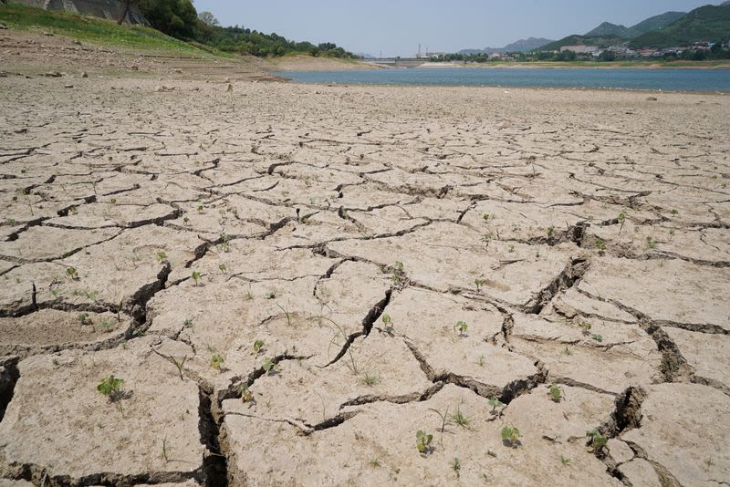 China warns of hotter, longer heatwaves as climate change intensifies