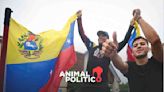 Cancilleres latinoamericanos piden a gobierno de Nicolás Maduro respetar resultado electoral; Venezuela acusa intervención