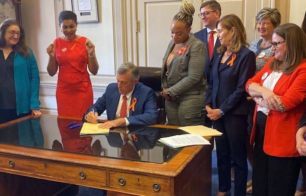 Gun reforms passed by Delaware lawmakers this year and the efforts that fell short