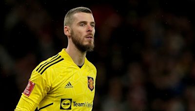 Ex-Man United goalkeeper David de Gea 'open to move to Serie A side'