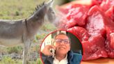 Productores de Carne Bovina sobre exportación de carne de burro: "Cantidad para exportarse es mínima"