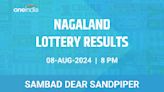 Nagaland Sambad Lottery Dear Sandpiper Thursday Winners, August 8 - Check Results