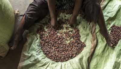 Traders See Cocoa Rally Top $15,000 on Lingering Supply Shortage