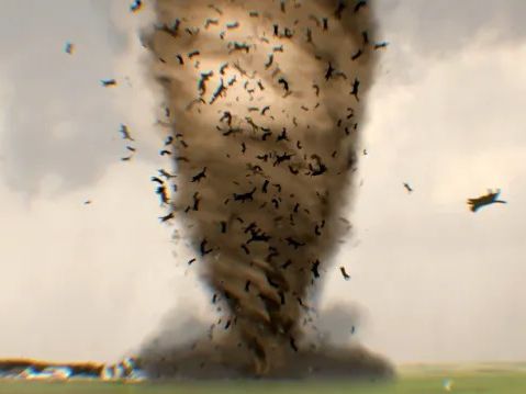 Catnado Trailer Sees a Storm of Felines in Twisters Parody Movie