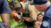 3 families displaced from apartment fire in Cincinnati, firefighters save dog