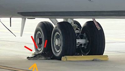 基地新警衛太凶狠！佛州KC-135基地遭「鱷魚」入侵 有如輪擋 - 自由軍武頻道