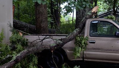 North Carolina family assesses damage after storm causes tree to fall onto car, powerlines