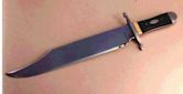 Bowie knife