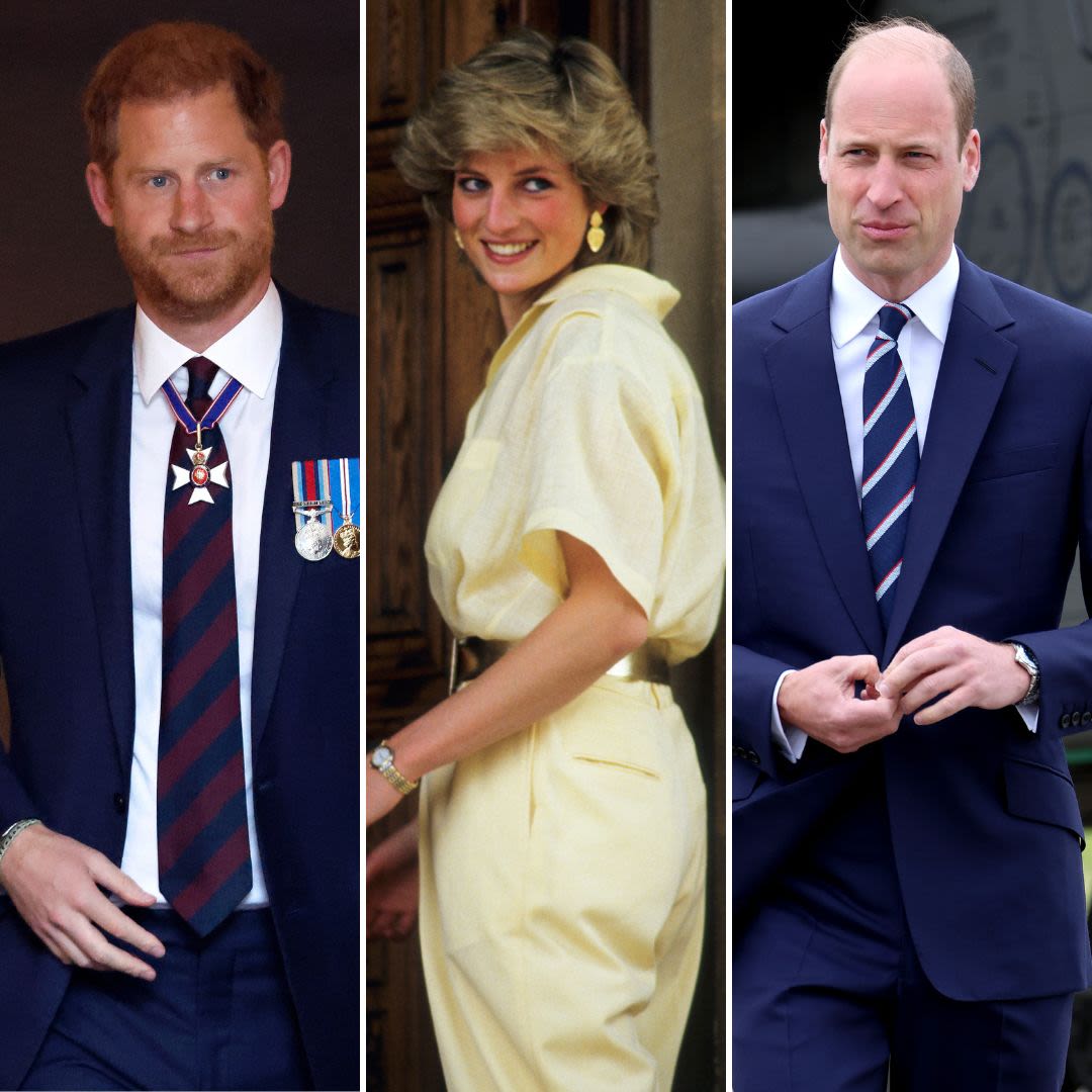 Prince Harry and Prince William’s Drama Is ‘Creating Tension When It Comes to Celebrating’ Princess Diana