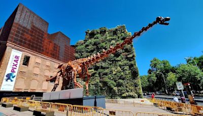 El esqueleto del mayor dinosaurio conocido hasta el momento se instala en el Paseo del Prado