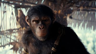 'Kingdom of the Planet of the Apes' reigns at box office with $56.5 million opening