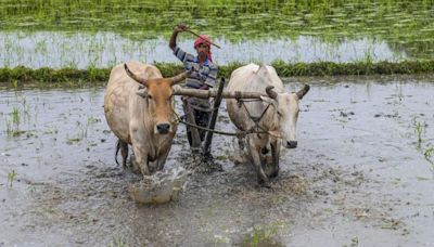 Monsoon covers entire country 6 days ahead of normal date