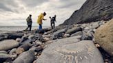 The best places to go fossil hunting in Britain
