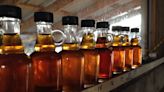 Sweet! Warm days, cool nights means Ontario maple syrup season off to early start